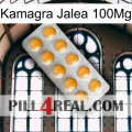 Kamagra Jelly 100Mg levitra1